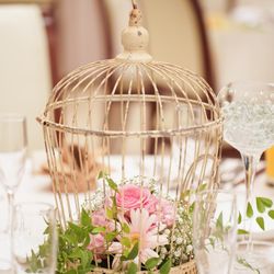 ディアステージつくばフォレストテラスの写真13枚目