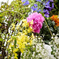 山手十番館ウエディング ハウス&ガーデンの写真11枚目