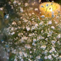 ジ・オリエンタルテラス ハイダウェイの写真15枚目