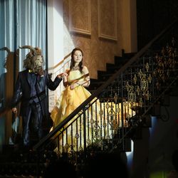 ディアステージつくばフォレストテラスの写真13枚目