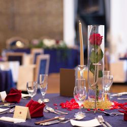 ディアステージつくばフォレストテラスの写真31枚目