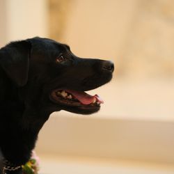 ディアステージつくばフォレストテラスの写真31枚目