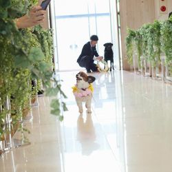 ディアステージつくばフォレストテラスの写真21枚目