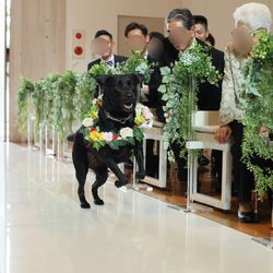 ディアステージつくばフォレストテラスの写真5枚目