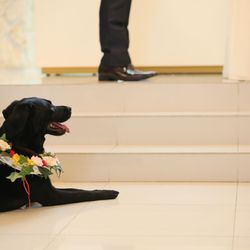 ディアステージつくばフォレストテラスの写真33枚目