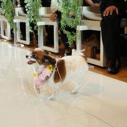 ディアステージつくばフォレストテラスの写真28枚目