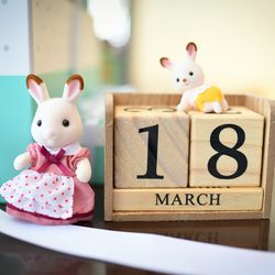 麗風つくば シーズンズテラスの写真32枚目