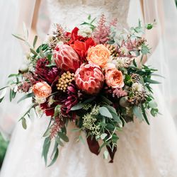 リストランテASOの写真17枚目