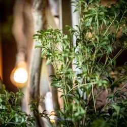 ジ・オリエンタルテラス ハイダウェイの写真1枚目