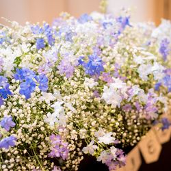 麗風つくば シーズンズテラスの写真4枚目