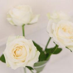 ストリングス ウエディングヒルズの写真32枚目