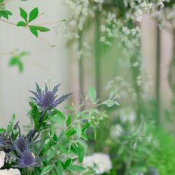 綿業会館の写真12枚目