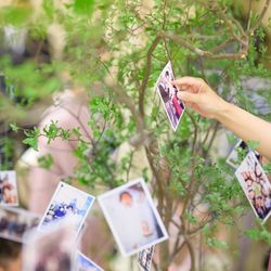 綿業会館の写真6枚目