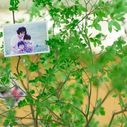 綿業会館の写真21枚目