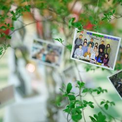 綿業会館の写真36枚目