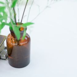 綿業会館の写真10枚目