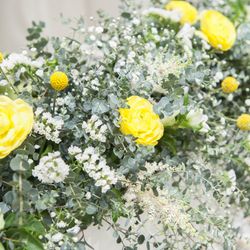 カノビアーノ 福岡の写真31枚目