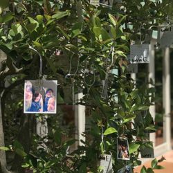 THE GARDEN PLACE SOSHUENの写真6枚目