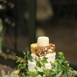 リストランテASOの写真11枚目