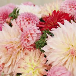 ザ・ミーツ マリーナテラスの写真33枚目