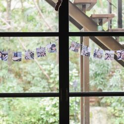 ザ ナンザンハウスの写真3枚目