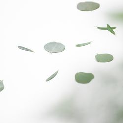 ザ ナンザンハウスの写真5枚目