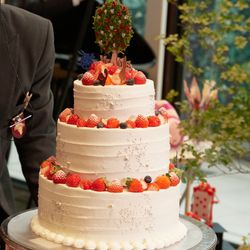 宮の森フランセス教会の写真19枚目