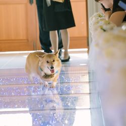 「最高の一日」~Wonderful Wedding~の写真2枚目