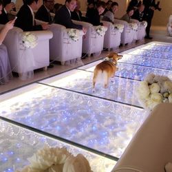 「最高の一日」~Wonderful Wedding~の写真4枚目