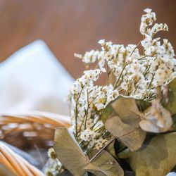 アーブルオランジュの写真16枚目