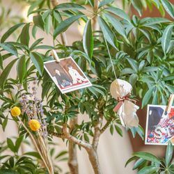 アーブルオランジュの写真35枚目