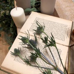 アーブルオランジュの写真36枚目