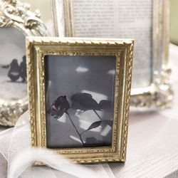 ザ・コンダーハウスの写真30枚目