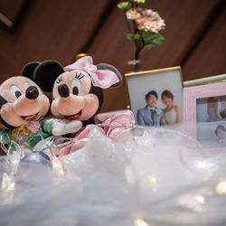 ザ・ベイスイート 桜島テラスの写真36枚目