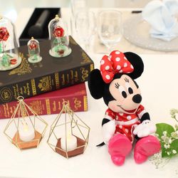 メルヴェーユの写真6枚目