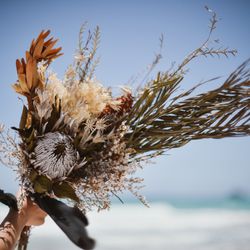 Waialae Beachの写真15枚目