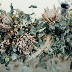 Waialae Beachの写真34枚目