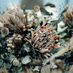 Waialae Beachの写真20枚目