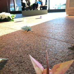 ザ・グラン銀座の写真26枚目