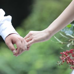 ホテル雅叙園東京の写真33枚目