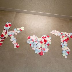 KOTOWA 奈良公園 Premium Viewの写真8枚目