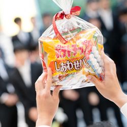 KOTOWA 奈良公園 Premium Viewの写真13枚目