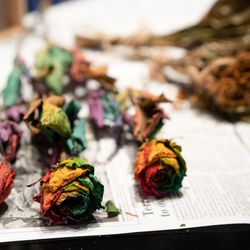 KOTOWA 奈良公園 Premium Viewの写真25枚目