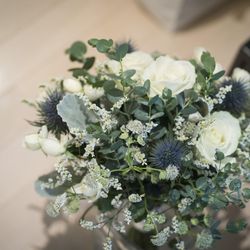 カノビアーノ 福岡の写真30枚目