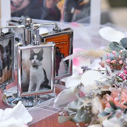 アニヴェルセル 大宮の写真23枚目