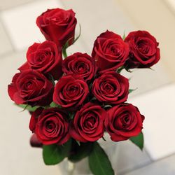 伊勢山ヒルズの写真30枚目