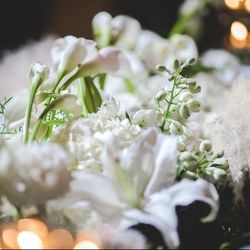 グランド ハイアット 東京の写真6枚目