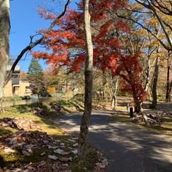 石の教会 内村鑑三記念堂の写真23枚目