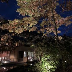 石の教会 内村鑑三記念堂の写真19枚目