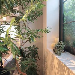 TRUNK HOTELの写真1枚目